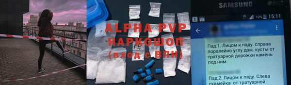 дурь Инта