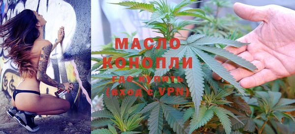 дурь Инта