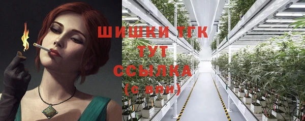 молекула духа Инсар