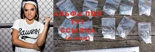 молекула духа Инсар