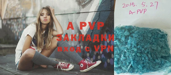 дурь Инта